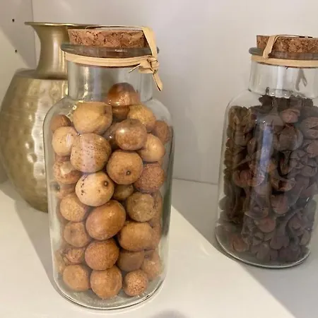 Le Petit Repozoir, Halte Entre Paris Et Appartement Ozoir-la-Ferrière